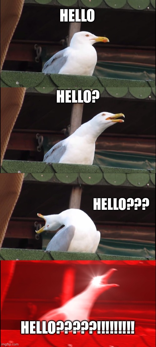Inhaling Seagull | HELLO; HELLO? HELLO??? HELLO?????!!!!!!!!! | image tagged in memes,inhaling seagull | made w/ Imgflip meme maker