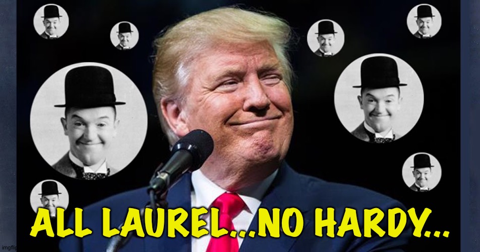 Another Fine Mess | ALL LAUREL...NO HARDY... | image tagged in donald trump,stan laurel | made w/ Imgflip meme maker
