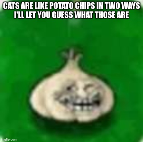 troll garlic | CATS ARE LIKE POTATO CHIPS IN TWO WAYS
I'LL LET YOU GUESS WHAT THOSE ARE | image tagged in troll garlic | made w/ Imgflip meme maker