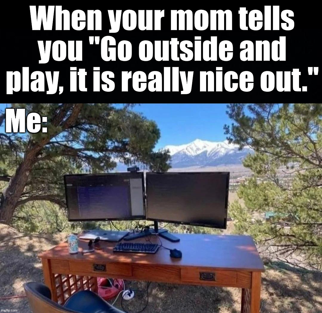  When your mom tells you "Go outside and play, it is really nice out."; Me: | image tagged in gaming | made w/ Imgflip meme maker