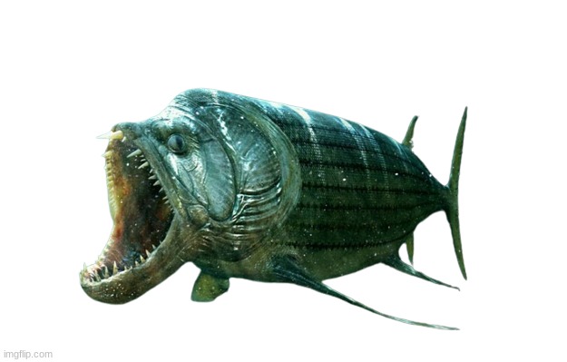 Xiphactinus (Open Mouth) | image tagged in xiphactinus open mouth | made w/ Imgflip meme maker