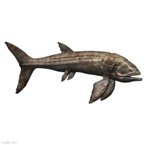 Leedsichthys | image tagged in leedsichthys | made w/ Imgflip meme maker