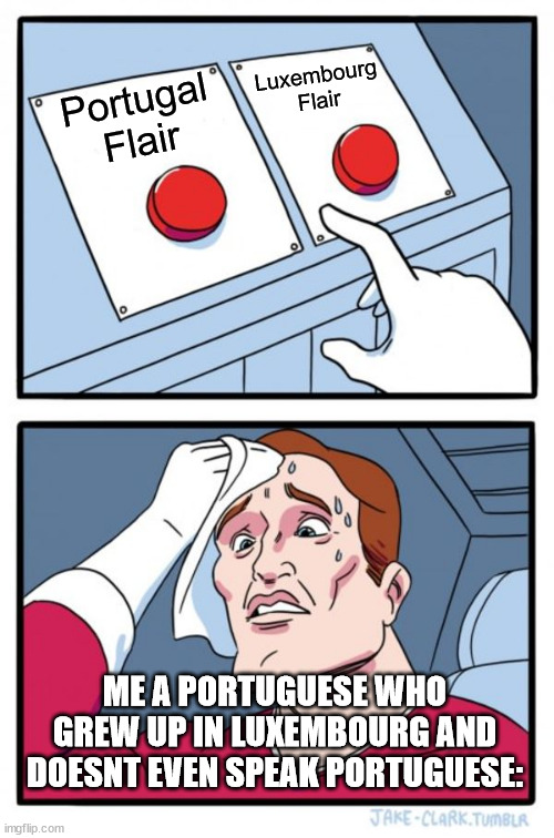 Two Buttons Meme | Luxembourg Flair; Portugal Flair; ME A PORTUGUESE WHO GREW UP IN LUXEMBOURG AND DOESNT EVEN SPEAK PORTUGUESE: | image tagged in memes,two buttons | made w/ Imgflip meme maker