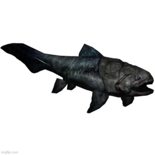 Titanichthys | image tagged in titanichthys | made w/ Imgflip meme maker