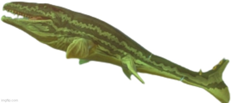 Fish: Feed and Grow Prognathodon | image tagged in fish feed and grow prognathodon | made w/ Imgflip meme maker