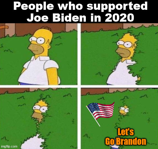 People who supported Joe Biden in 2020; Let's Go Brandon | image tagged in homer bush,political meme | made w/ Imgflip meme maker