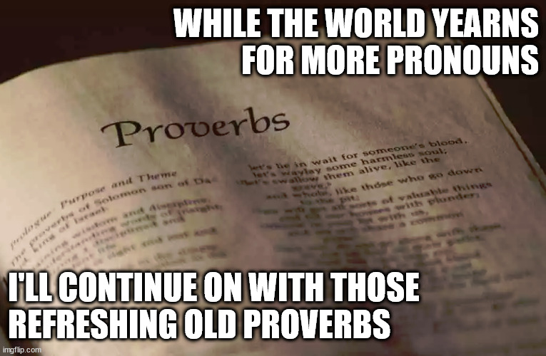 WHILE THE WORLD YEARNS
FOR MORE PRONOUNS; I'LL CONTINUE ON WITH THOSE
REFRESHING OLD PROVERBS | image tagged in under the sun | made w/ Imgflip meme maker