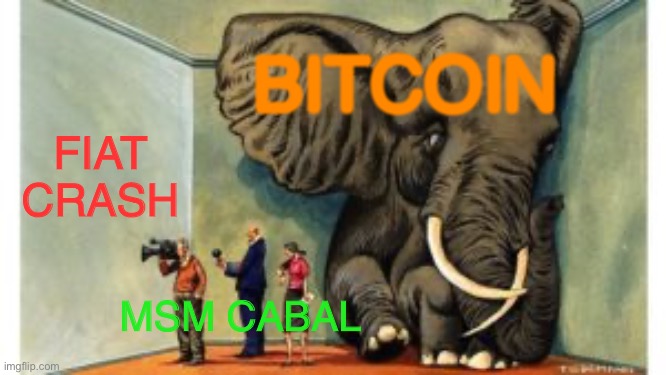 Glory | BITCOIN; FIAT
CRASH; MSM CABAL | image tagged in bitcoin | made w/ Imgflip meme maker