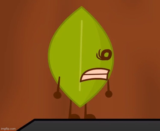 Member 68: Leafy | image tagged in bfdi wat face | made w/ Imgflip meme maker