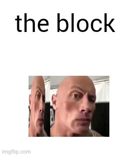 the block | image tagged in the block | made w/ Imgflip meme maker