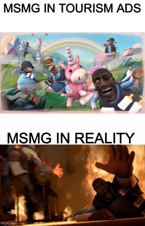 Pyrovision | MSMG IN TOURISM ADS; MSMG IN REALITY | image tagged in pyrovision | made w/ Imgflip meme maker