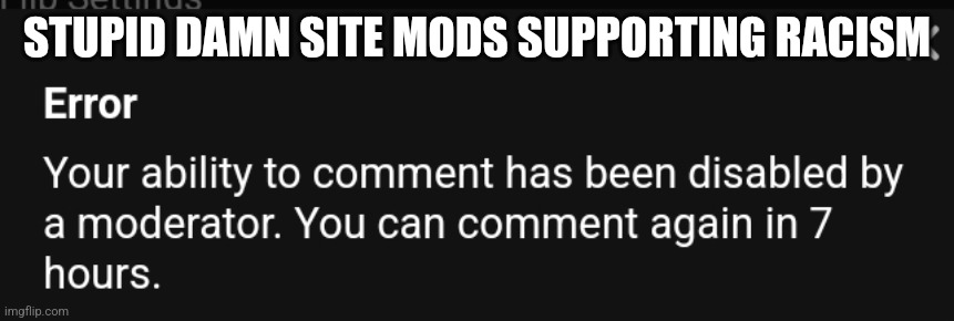 STUPID DAMN SITE MODS SUPPORTING RACISM | made w/ Imgflip meme maker