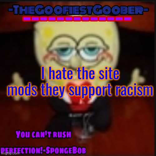 -TheGoofiestGoober Idk.jpg Announcement Template | I hate the site mods they support racism | image tagged in -thegoofiestgoober idk jpg announcement template | made w/ Imgflip meme maker