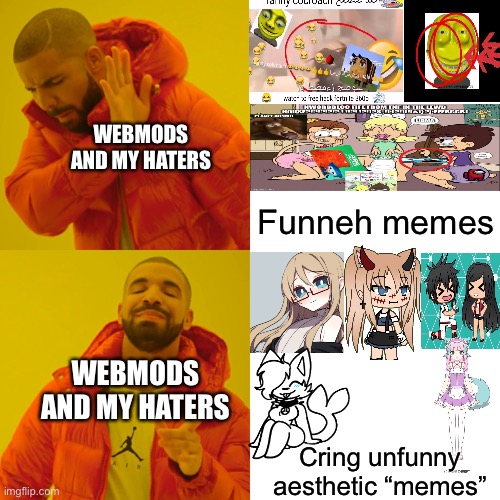 Why don’t they like funneh memes and like unfunneh memes? | WEBMODS AND MY HATERS; Funneh memes; WEBMODS AND MY HATERS; Cring unfunny aesthetic “memes” | image tagged in memes,drake hotline bling | made w/ Imgflip meme maker