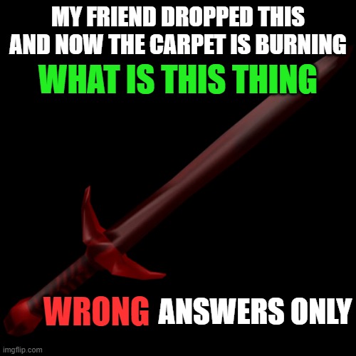 funny lighter | MY FRIEND DROPPED THIS AND NOW THE CARPET IS BURNING; WHAT IS THIS THING; WRONG; ANSWERS ONLY | image tagged in firebrand,what is this | made w/ Imgflip meme maker