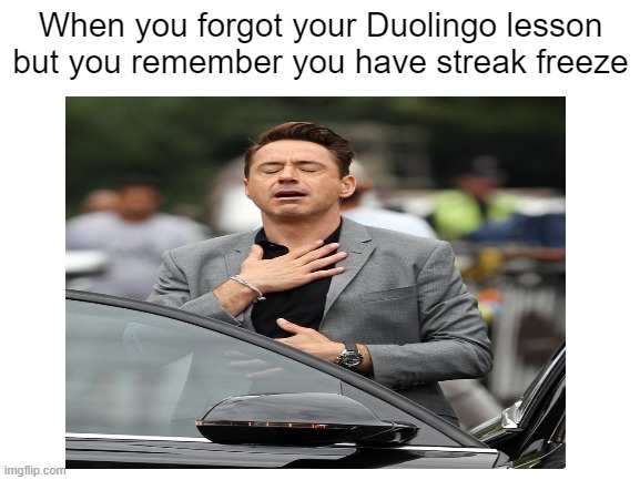 Duolingo has a streak freeze guys don't worry | When you forgot your Duolingo lesson but you remember you have streak freeze | image tagged in duolingo | made w/ Imgflip meme maker