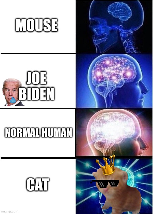 Expanding Brain Meme | MOUSE; JOE BIDEN; NORMAL HUMAN; CAT | image tagged in memes,expanding brain | made w/ Imgflip meme maker