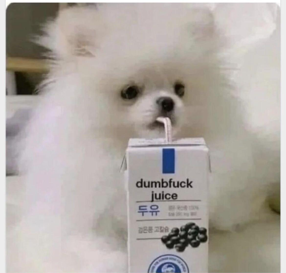 Dumphuck Juice Blank Meme Template