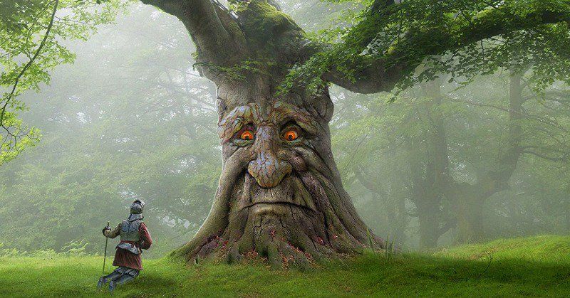 Wise mystical tree Blank Meme Template