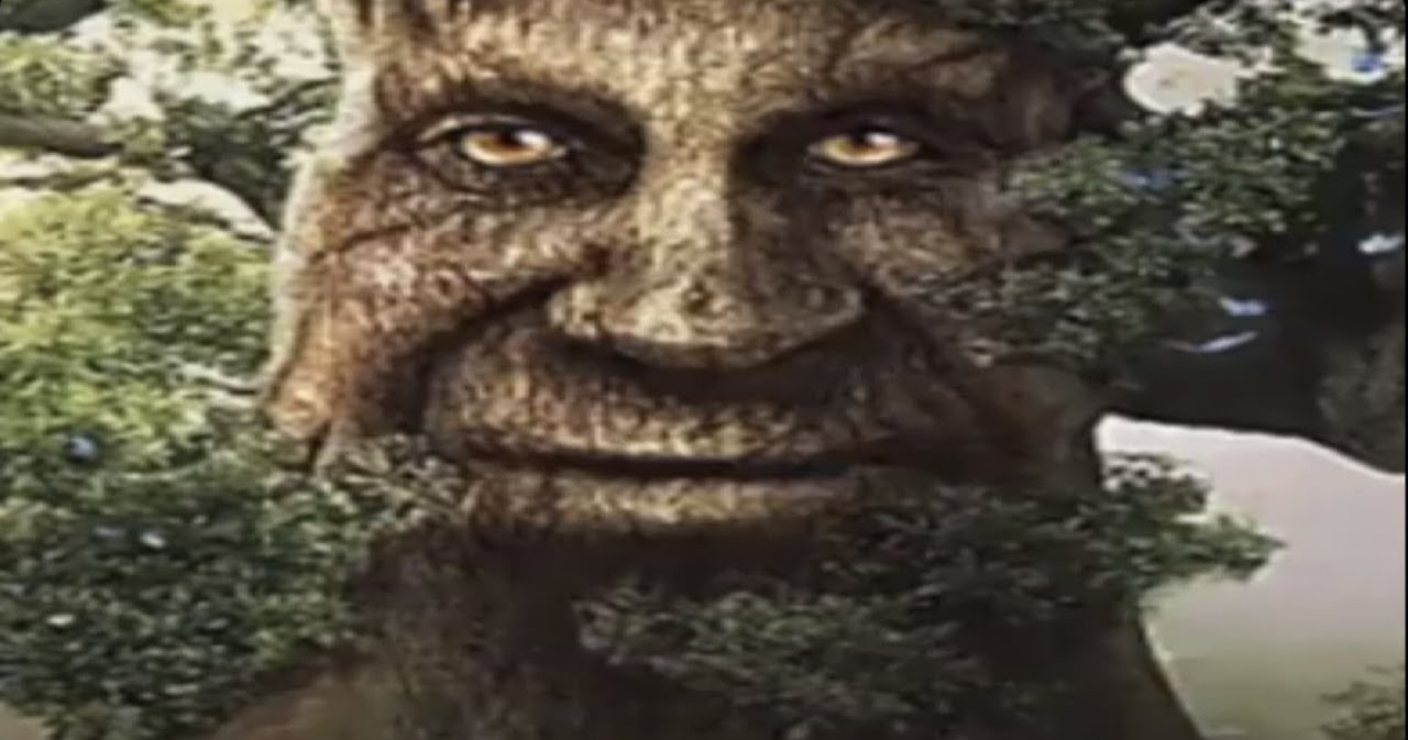 Wise Mystical Tree Blank Template Imgflip