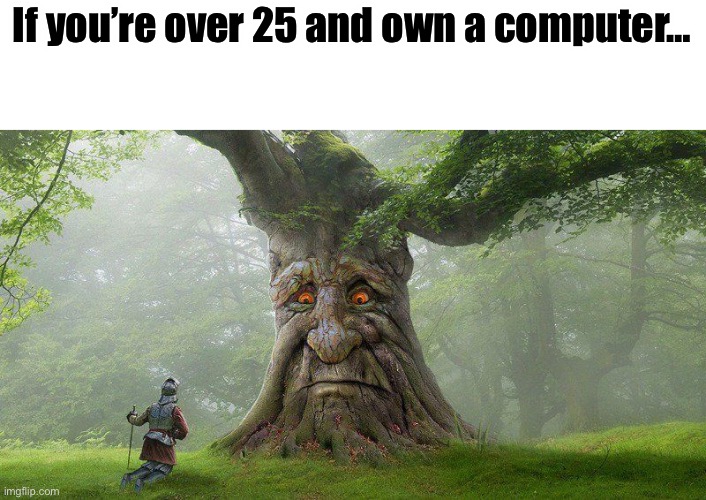 Behold the next hot meme | If you’re over 25 and own a computer… | image tagged in wise mystical tree | made w/ Imgflip meme maker