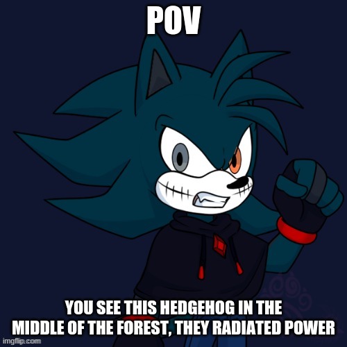 Sonic OCs aren't needed|Other rules in tags | POV; YOU SEE THIS HEDGEHOG IN THE MIDDLE OF THE FOREST, THEY RADIATED POWER | image tagged in battle rp,no op ocs,no military,no joke | made w/ Imgflip meme maker