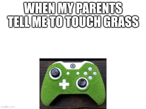Parents Telling Me To Touch Grass | WHEN MY PARENTS TELL ME TO TOUCH GRASS | image tagged in grass | made w/ Imgflip meme maker