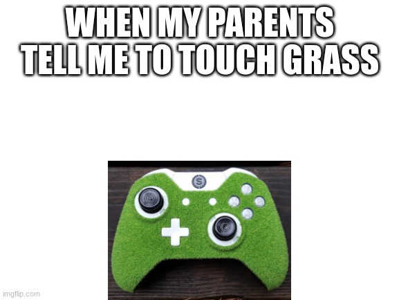 And yet they tell us to touch grass - Imgflip