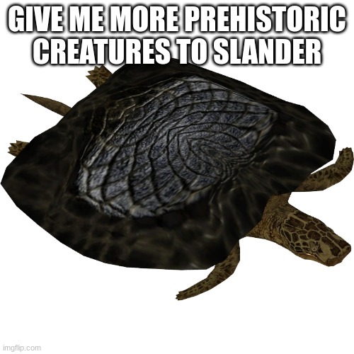 Henodus | GIVE ME MORE PREHISTORIC CREATURES TO SLANDER | image tagged in henodus | made w/ Imgflip meme maker