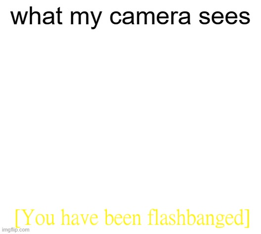 you have been flashbanged | what my camera sees | image tagged in you have been flashbanged | made w/ Imgflip meme maker