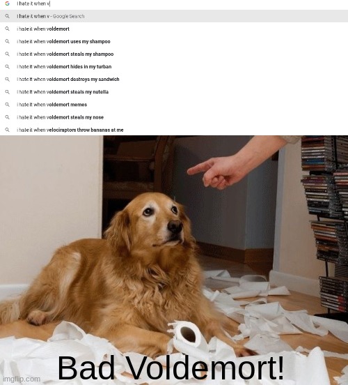 Bad Voldemort! | Bad Voldemort! | image tagged in bad dog,voldemort,i hate it when,memes,google search | made w/ Imgflip meme maker