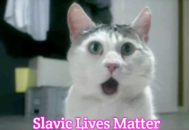 OMG Cat Meme | Slavic Lives Matter | image tagged in memes,omg cat,slavic | made w/ Imgflip meme maker