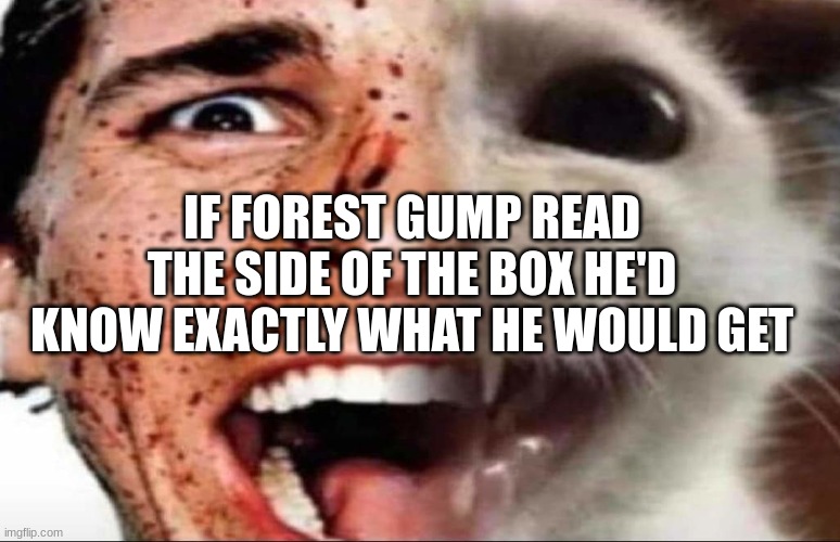 american psycho cat | IF FOREST GUMP READ THE SIDE OF THE BOX HE'D KNOW EXACTLY WHAT HE WOULD GET | image tagged in american psycho cat | made w/ Imgflip meme maker