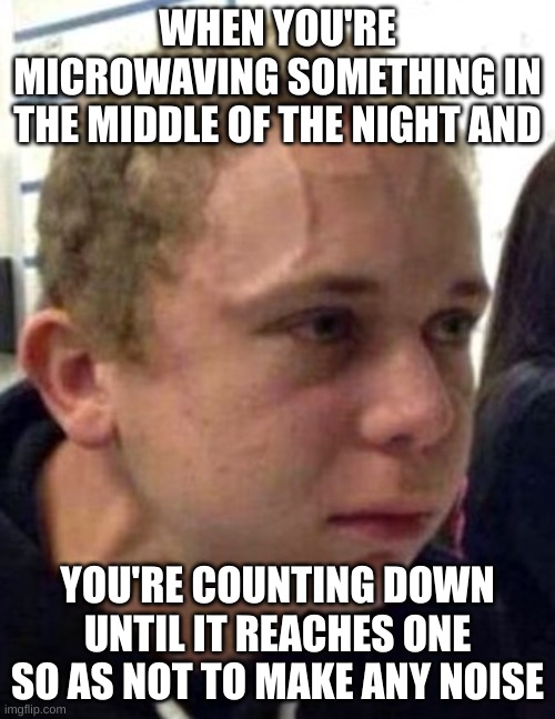 the intense fear is unbearable at times isn't it? |  WHEN YOU'RE MICROWAVING SOMETHING IN THE MIDDLE OF THE NIGHT AND; YOU'RE COUNTING DOWN UNTIL IT REACHES ONE SO AS NOT TO MAKE ANY NOISE | image tagged in neck vein guy,memes,relatable | made w/ Imgflip meme maker