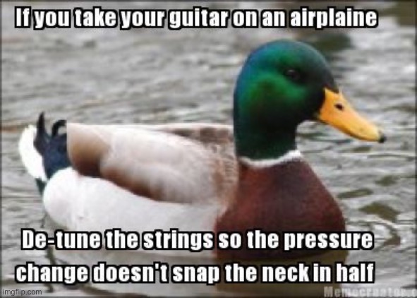 same goes for any string instrument | made w/ Imgflip meme maker
