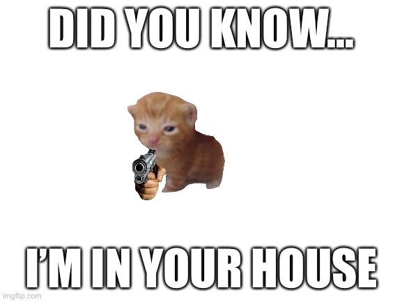 Blank White Template | DID YOU KNOW…; I’M IN YOUR HOUSE | image tagged in blank white template | made w/ Imgflip meme maker