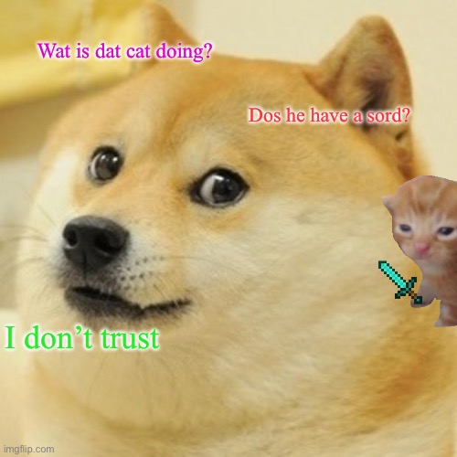 Doge Meme | Wat is dat cat doing? Dos he have a sord? I don’t trust | image tagged in memes,doge | made w/ Imgflip meme maker