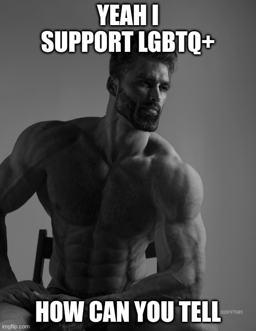 Although I am not Les, Gay, Bi, Trans, Pan, or Queer I am still an ally! | YEAH I SUPPORT LGBTQ+; HOW CAN YOU TELL | image tagged in giga chad | made w/ Imgflip meme maker