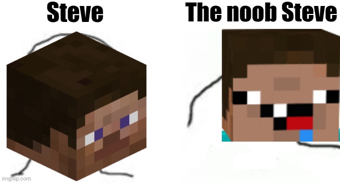 The noob |  Steve; The noob Steve | image tagged in dumb wojak,funny,the cooler daniel,minecraft,noob,minecraft steve | made w/ Imgflip meme maker
