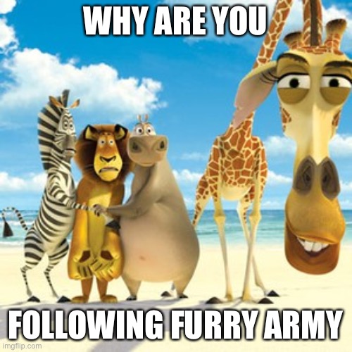 why are you white | WHY ARE YOU FOLLOWING FURRY ARMY | image tagged in why are you white | made w/ Imgflip meme maker