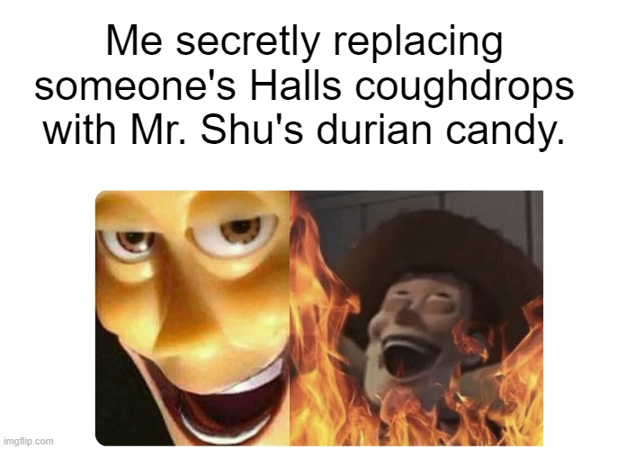 Satanic Woody | Me secretly replacing someone's Halls coughdrops with Mr. Shu's durian candy. | image tagged in satanic woody | made w/ Imgflip meme maker