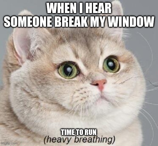 Heavy Breathing Cat |  WHEN I HEAR SOMEONE BREAK MY WINDOW; TIME TO RUN | image tagged in memes,heavy breathing cat | made w/ Imgflip meme maker