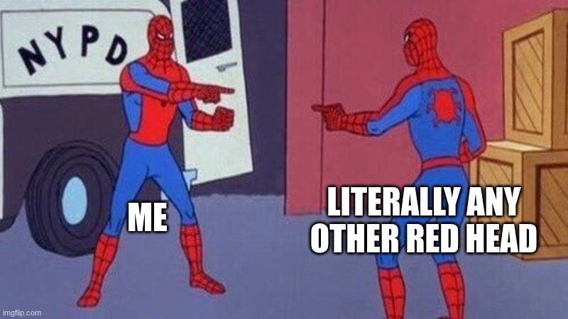 spiderman pointing at spiderman |  LITERALLY ANY OTHER RED HEAD; ME | image tagged in spiderman pointing at spiderman | made w/ Imgflip meme maker