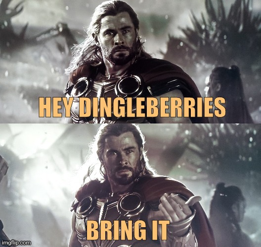 Bring It | HEY DINGLEBERRIES; BRING IT | image tagged in thor challenge,memes,funny,challenge accepted,challenge,insult | made w/ Imgflip meme maker