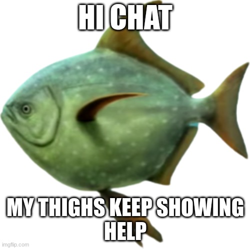 Megalampris | HI CHAT; MY THIGHS KEEP SHOWING
HELP | image tagged in megalampris | made w/ Imgflip meme maker