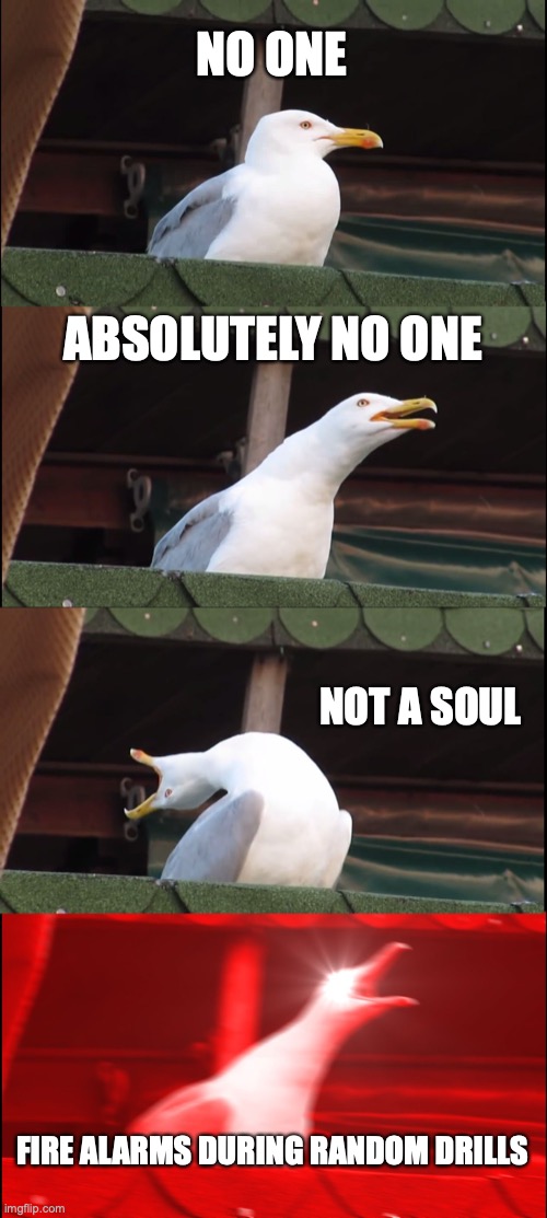 so loud |  NO ONE; ABSOLUTELY NO ONE; NOT A SOUL; FIRE ALARMS DURING RANDOM DRILLS | image tagged in memes,inhaling seagull | made w/ Imgflip meme maker