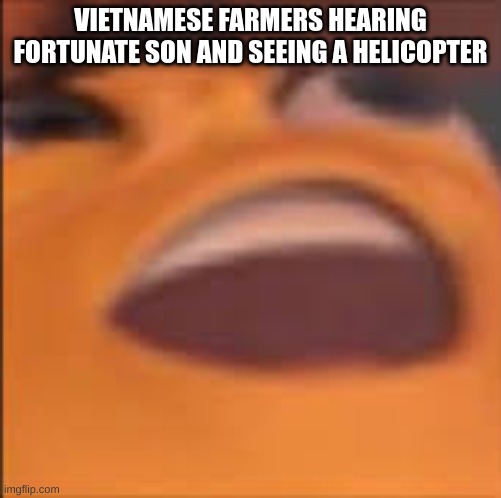 wouldn't be so happy about it | VIETNAMESE FARMERS HEARING FORTUNATE SON AND SEEING A HELICOPTER | image tagged in barry bee benson,vietnam | made w/ Imgflip meme maker