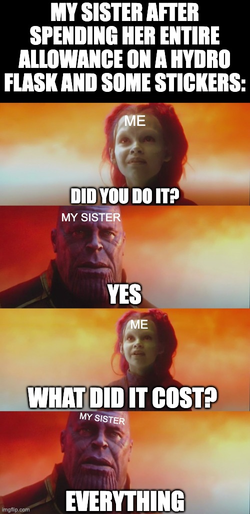 She did it herself | MY SISTER AFTER SPENDING HER ENTIRE ALLOWANCE ON A HYDRO FLASK AND SOME STICKERS:; ME; DID YOU DO IT? MY SISTER; YES; ME; WHAT DID IT COST? EVERYTHING; MY SISTER | image tagged in what did it cost | made w/ Imgflip meme maker