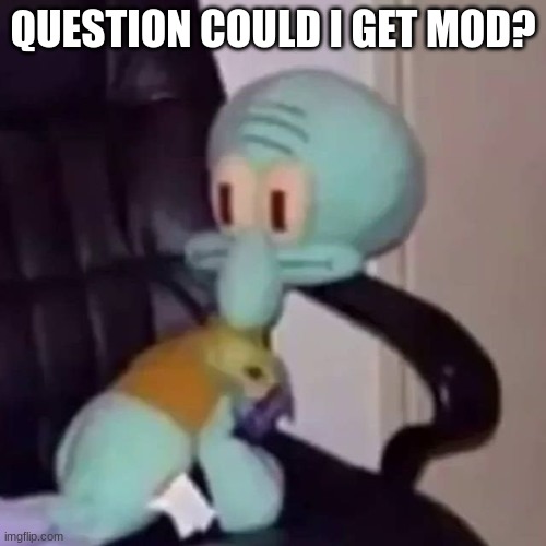 just wondering edit got it! | QUESTION COULD I GET MOD? | image tagged in squidward on a chair,memes,funny,mod,squidward,lol | made w/ Imgflip meme maker