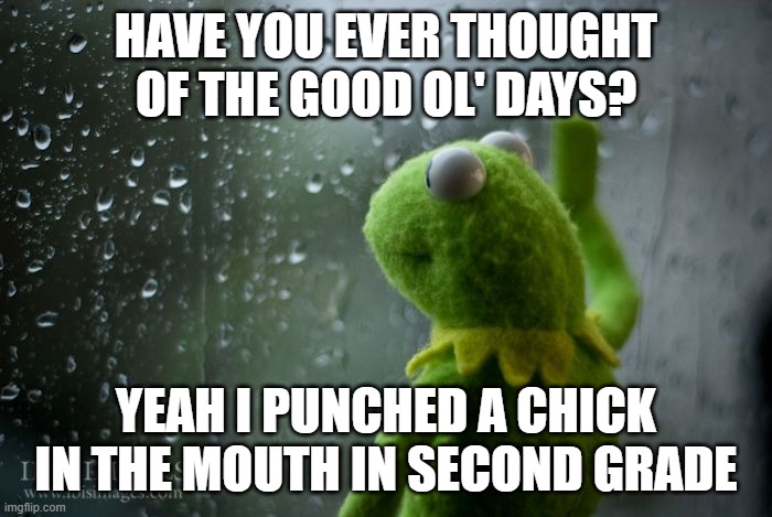 kermit window | HAVE YOU EVER THOUGHT OF THE GOOD OL' DAYS? YEAH I PUNCHED A CHICK IN THE MOUTH IN SECOND GRADE | image tagged in kermit window | made w/ Imgflip meme maker